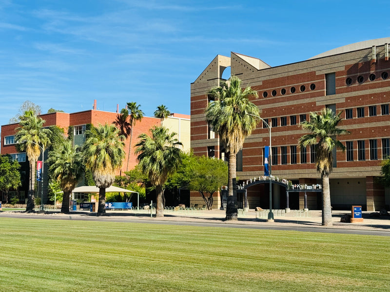 BACHELOR OF ARCHITECTURE